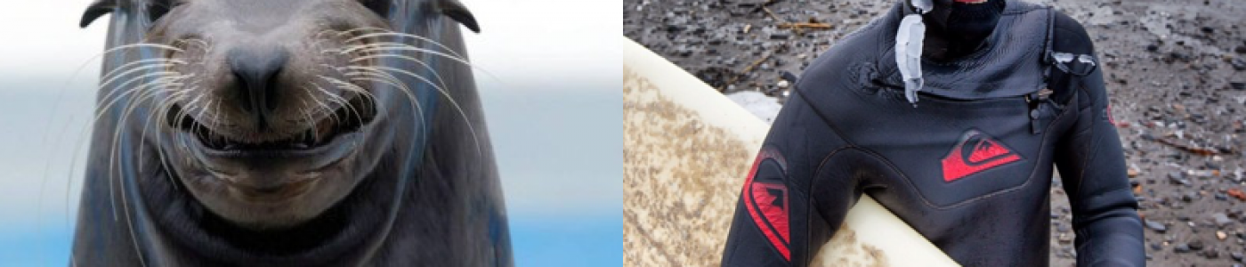 neoprene para o frio